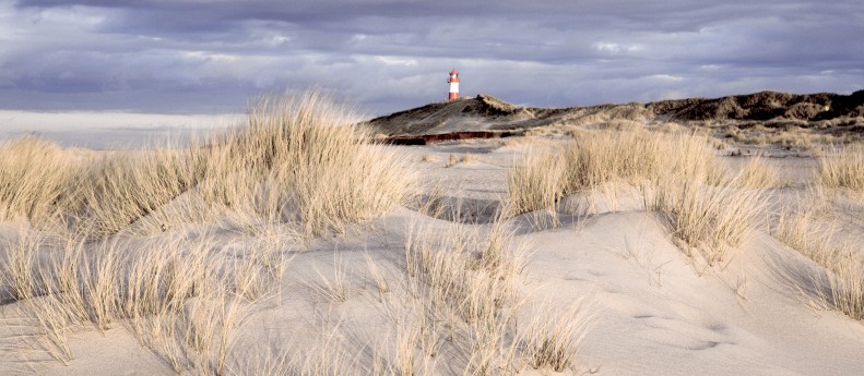 Hallo Sylt-Liebhaber